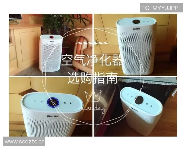 空气净化器选购指南与使用技巧提升室内空气质量的实用方法