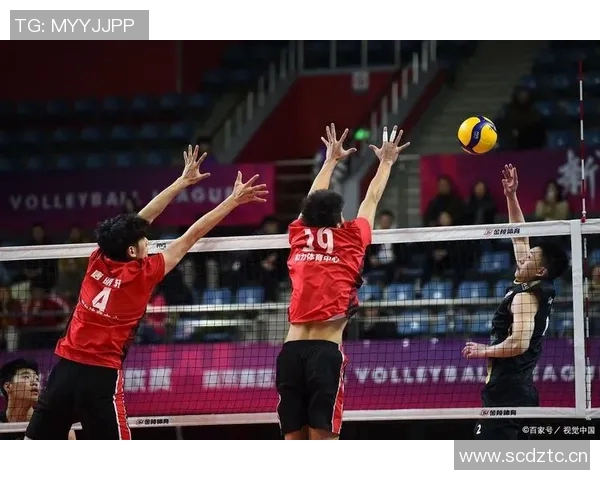 杨强独家分享排球技巧与心得助你提升球技的全面指南